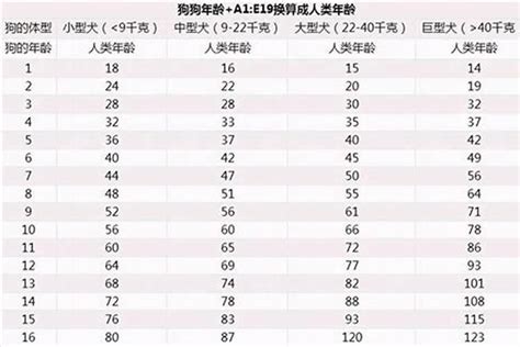 屬狗今年幾多歲|属狗的今年多大2024